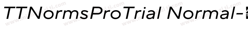 TTNormsProTrial Normal字体转换